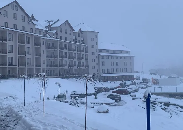 Milmari N73 & * 科帕奥尼克