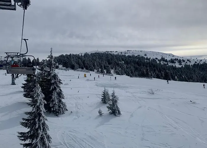 Milmari N73 & 科帕奥尼克