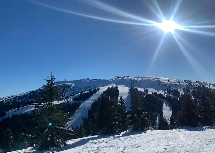 公寓 Milmari N73 & 科帕奥尼克